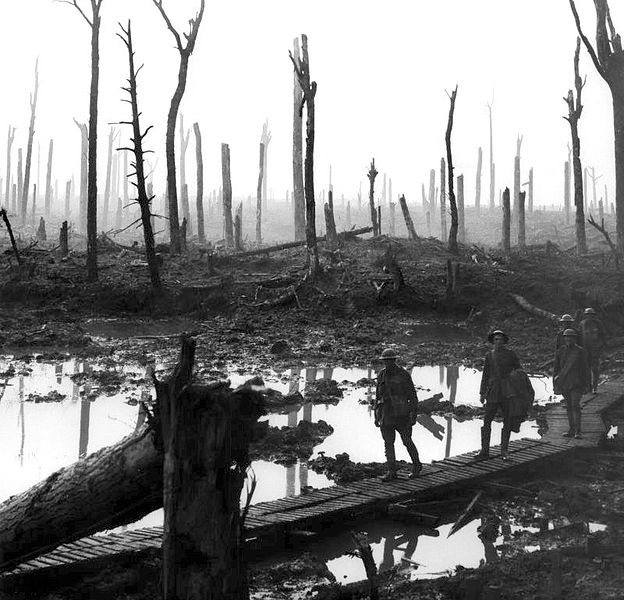 Der Chateauwald bei Ypern besteht nach den intensiven Artilleriebombardements nur noch aus Baumstümpfen (1917)
